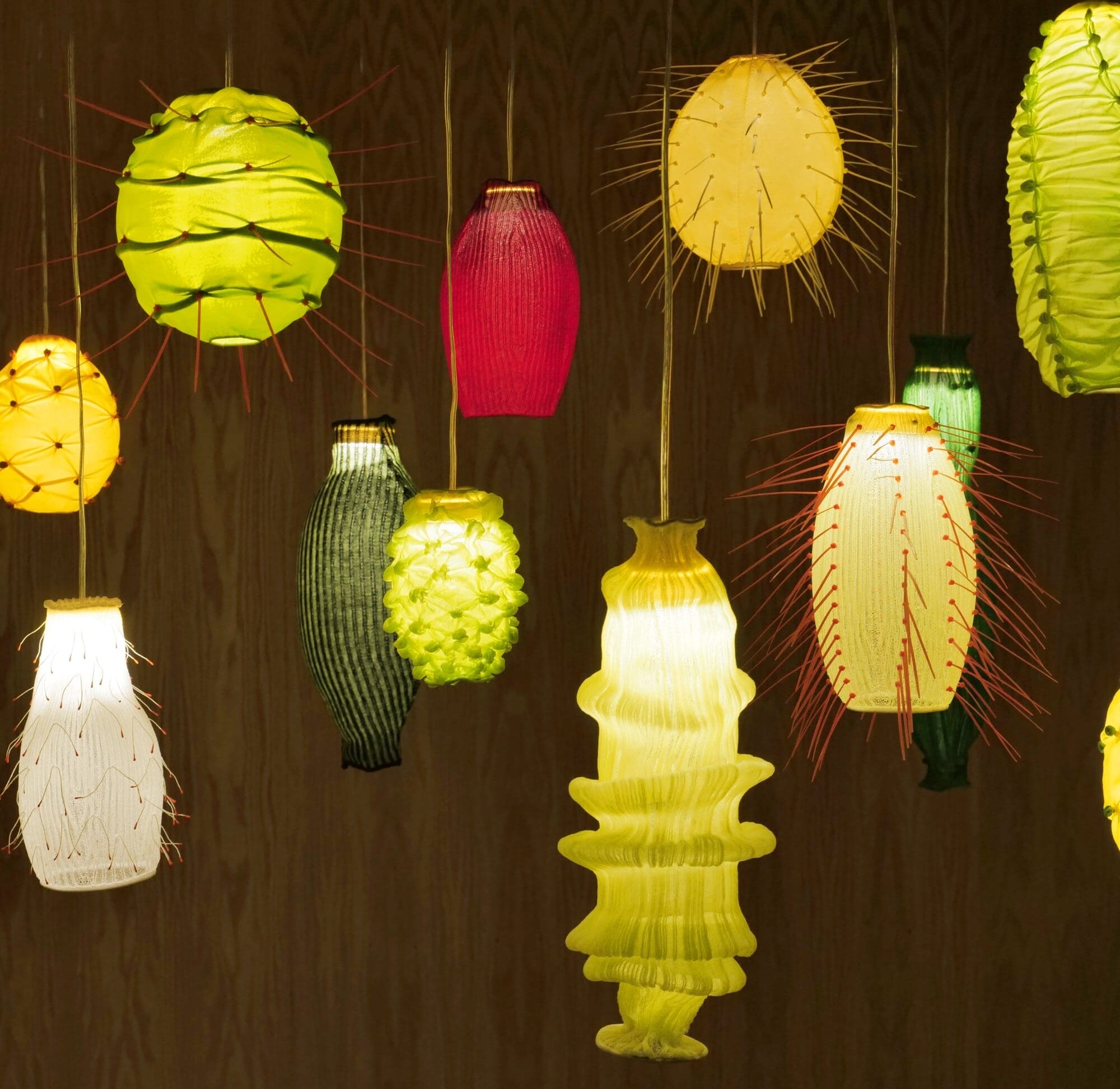 In ‘KAUANI,’ Indigenous Mexican Flora Flourishes in Glowing Lanterns — Colossal