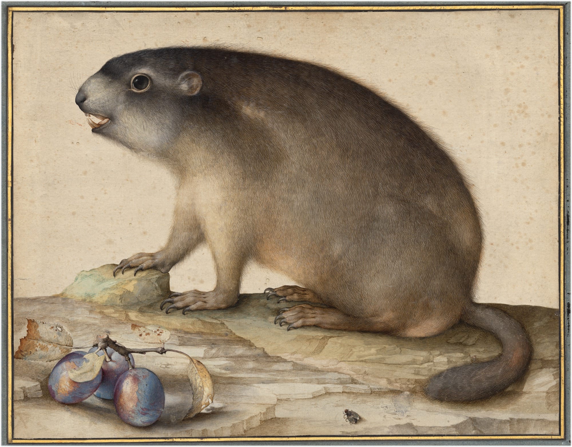 ‘Little Beasts’ Is a First-of-Its-Kind Museum Collaboration Reveling in Art and the Natural World — Colossal