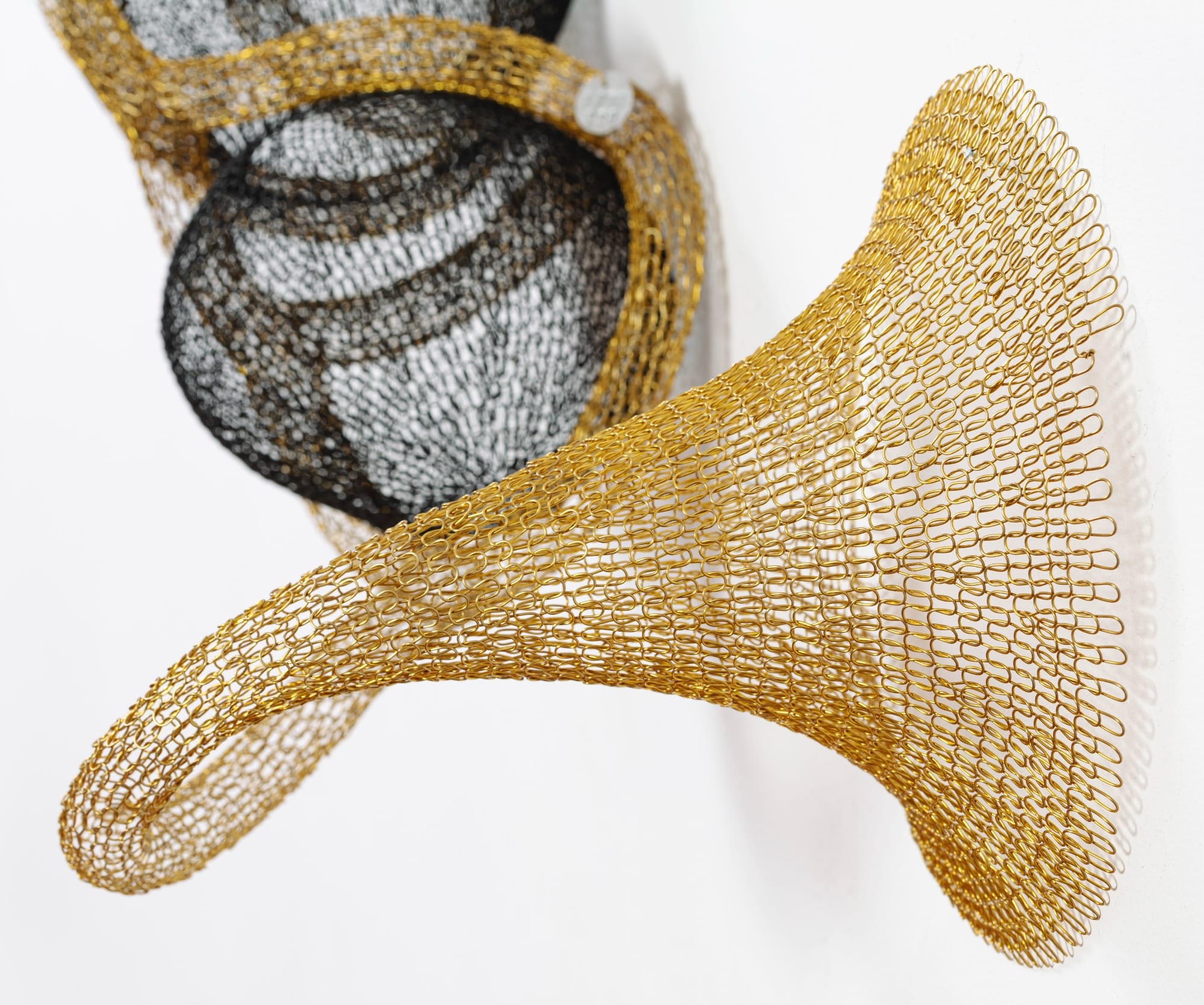 Caio Marcolini Weaves Delicate Metal Mesh into Spawning Cellular Sculptures — Colossal